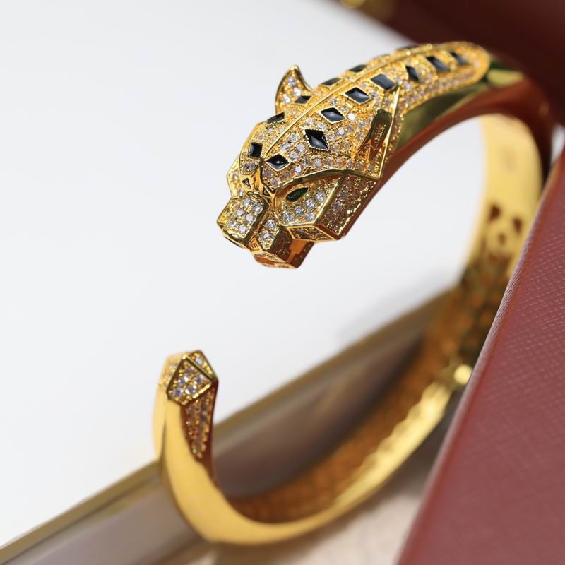 Cartier bracelet 11lyx38 (18)
